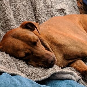 Meet your Posher, Karin